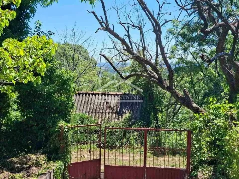 Prodaja, plac, 1000m², Grocka, Beograd - image 7