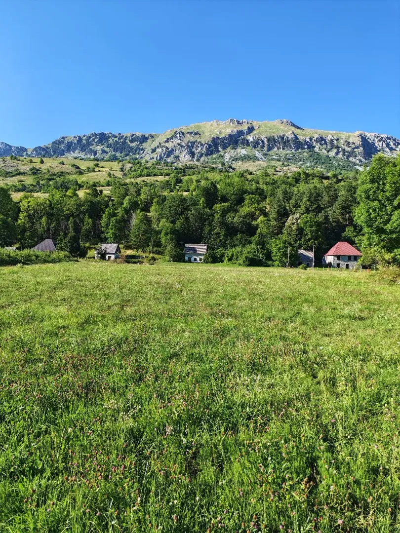 Prodaja, plac, 5071m², Gornje Lipovo, Kolašin
