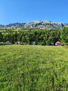 Prodaja, plac, 5071m², Gornje Lipovo, Kolašin - image 5