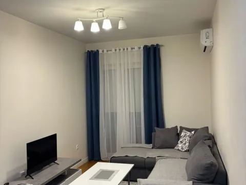 Rent, one bedroom apartment, 43m², Central Point, Podgorica - image 2