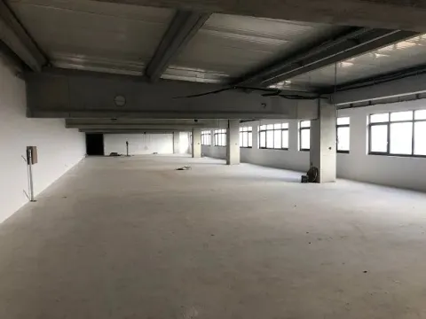 Izdavanje, poslovni prostor, 4600m², Novi Beograd Sve Podlokacije, Beograd - image 2
