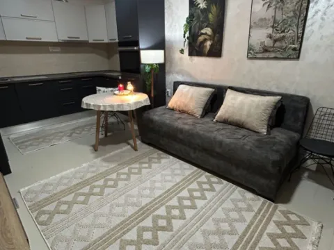 Izdavanje, jednosoban stan, 40m², Zlatica, Podgorica - image 4