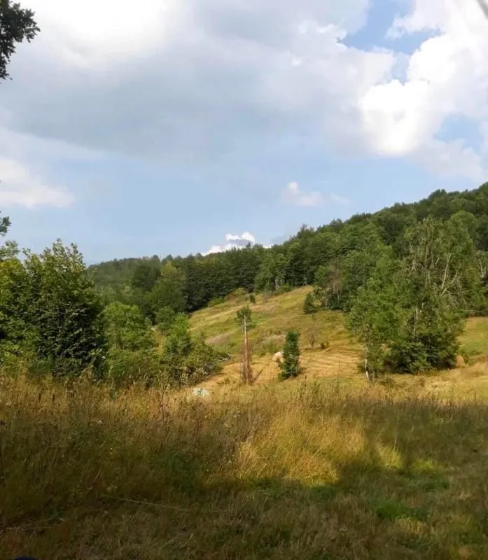Prodaja, plac, 70000m², Mojkovac, Crna Gora
