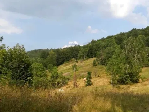 Prodaja, plac, 70000m², Mojkovac, Crna Gora - image 5