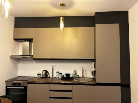 Prodaja, jednosoban stan, 43m², Zabjelo, Podgorica - image 9