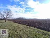 Sale, house, 117m², Poljane, Obrenovac - image 10