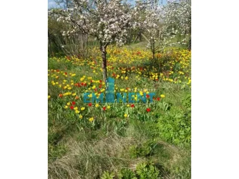 Rent, office space, 200m², Vojlovica, Pančevo - image 17