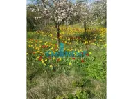 Rent, office space, 200m², Vojlovica, Pančevo - image 17