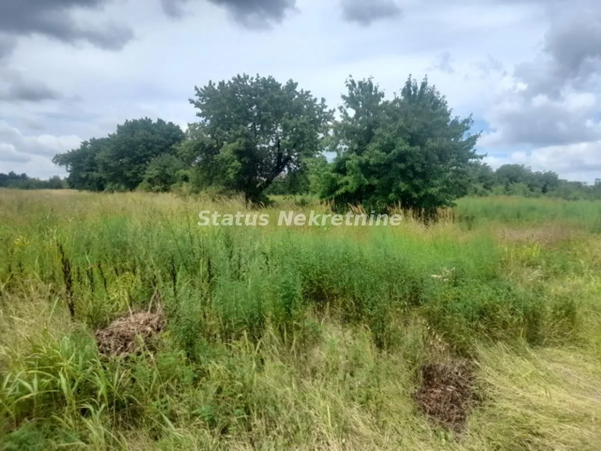 Prodaja, plac, 7067m², Inđija, Srbija