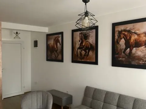 Izdavanje, jednosoban stan, 45m², Stari Aerodrom, Podgorica - image 11