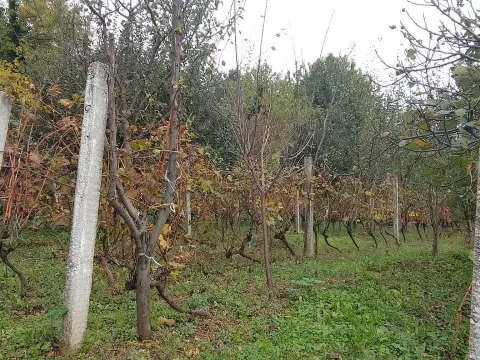 Zemljište in Kamenovo