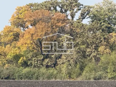 Sale, land lot, Čukarica, Beograd - image 5