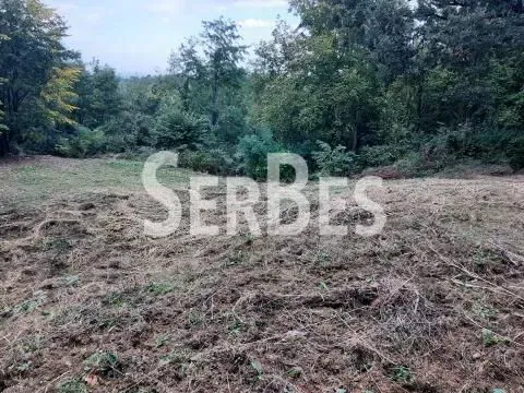 Prodaja, plac, 1120m², Petrovaradin, Novi Sad - image 2