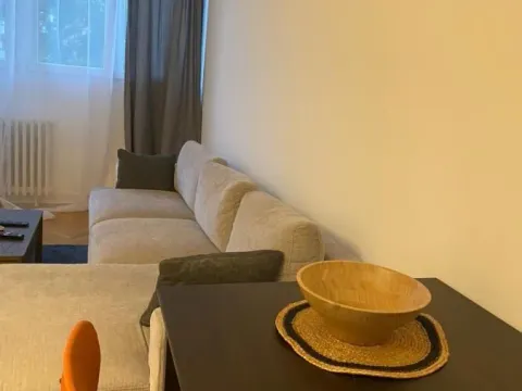 Izdavanje, trosoban stan, 46m², Stari Merkator, Novi Beograd Sve Podlokacije - image 14