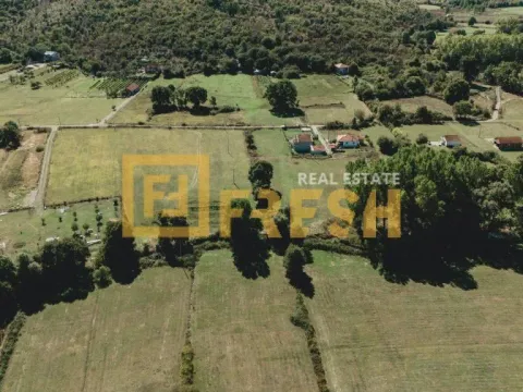 Prodaja, plac, 9600m², Danilovgrad, Crna Gora - image 4