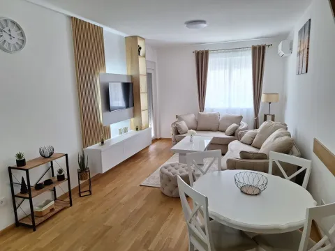 Rent, one bedroom apartment, 48m², Stari Aerodrom, Podgorica - image 1