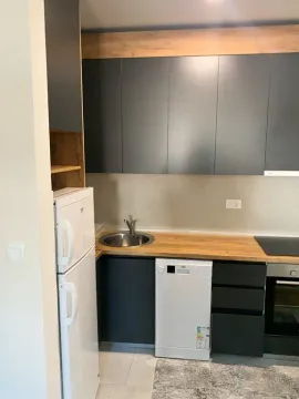 Izdavanje, jednosoban stan, 48m², Central Point, Podgorica - image 4