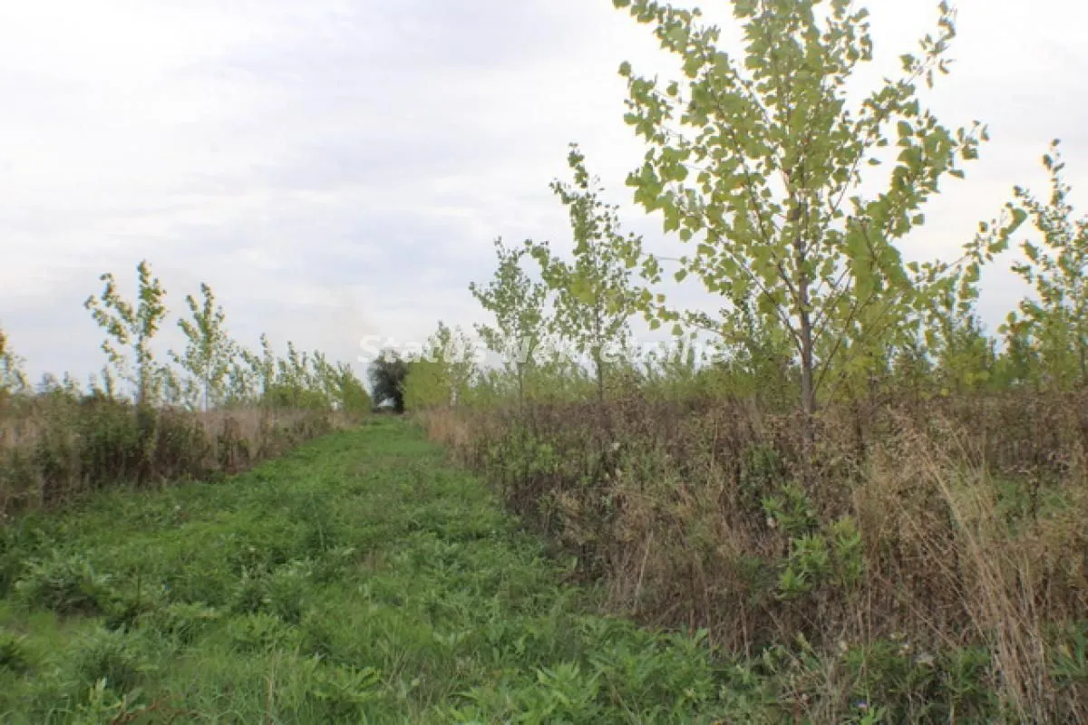 Prodaja, plac, 1378m², Zrenjanin, Srbija