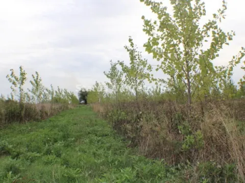 Prodaja, plac, 1378m², Zrenjanin, Srbija - image 55