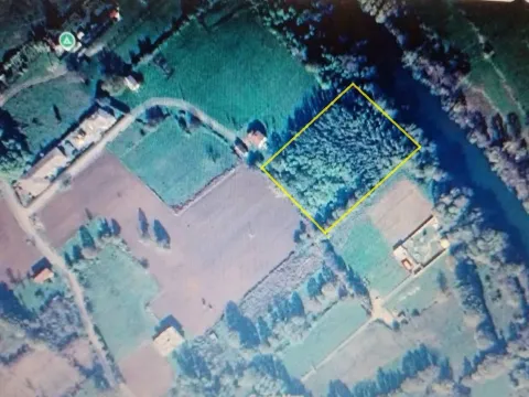 Prodaja, plac, 6100m², Frutak, Danilovgrad - image 9