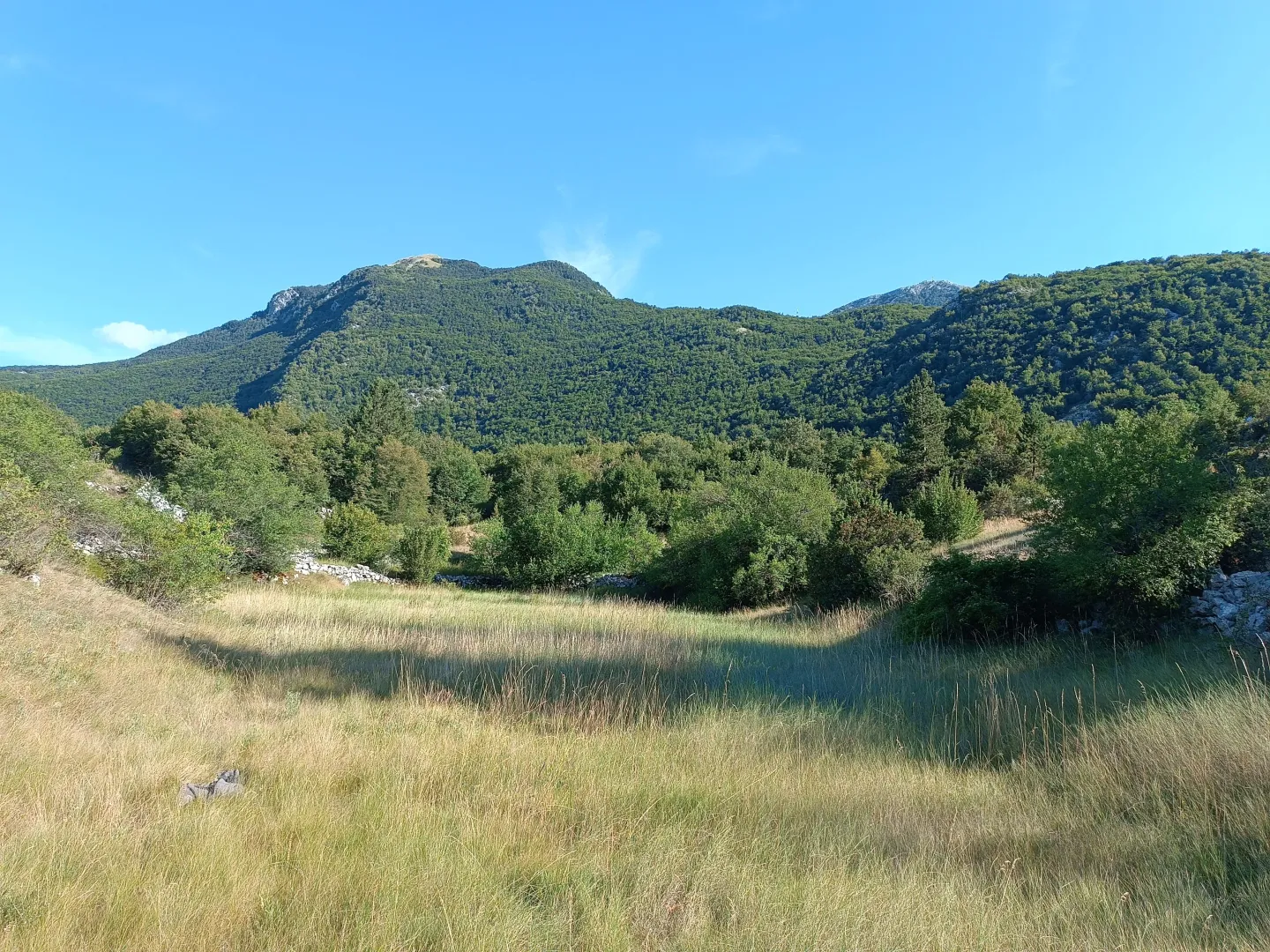 Prodaja, plac, 2000m², Njeguši, Cetinje