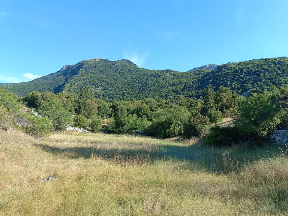 Sale, land lot, 2000m², Njeguši, Cetinje