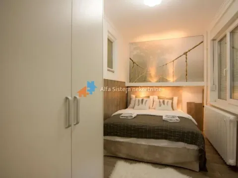 Izdavanje, dvosoban stan, 40m², Vračar Hram, Vračar Sve Podlokacije - image 11