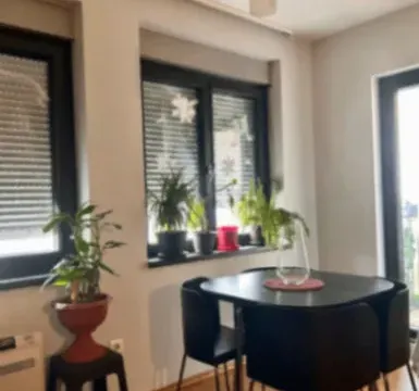 Izdavanje, jednosoban stan, 500m², Blok 9, Podgorica