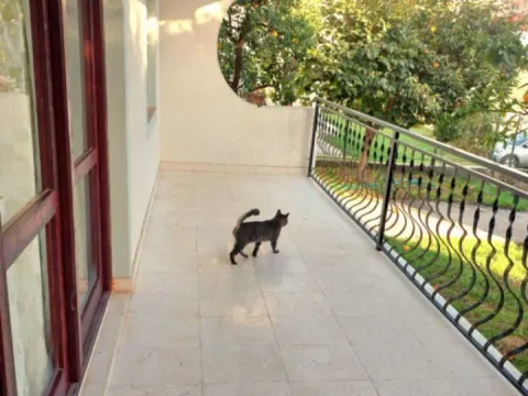 Izdavanje, dvosoban stan, 91m², Šušanj, Bar - image 10