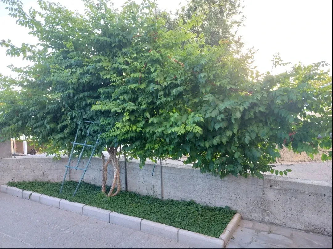 Prodaja, stan, 89m², Tivat, Crna Gora