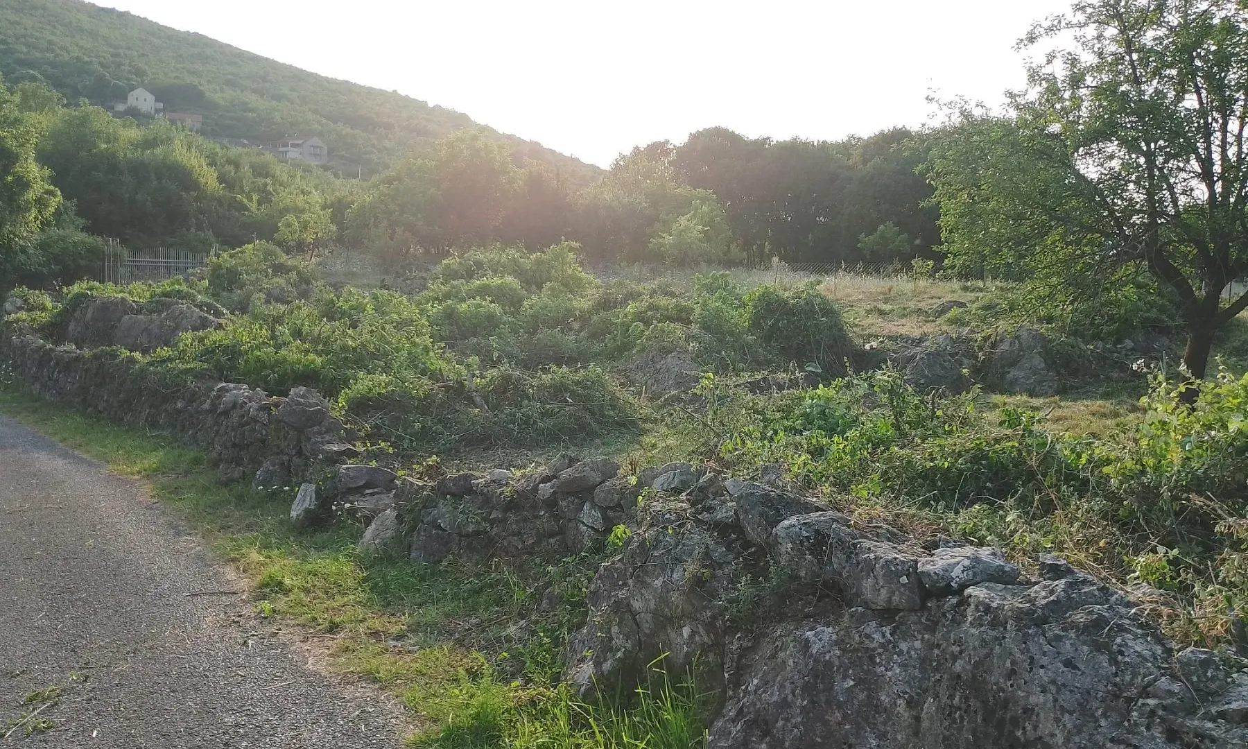 Prodaja, plac, 2000m², Podgorica, Crna Gora