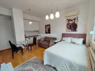 Izdavanje, jednosoban stan, 40m², Stari Grad, Beograd - image 3