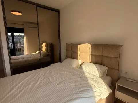 Izdavanje, dvosoban stan, 70m², Vezirov Most, Podgorica - image 9