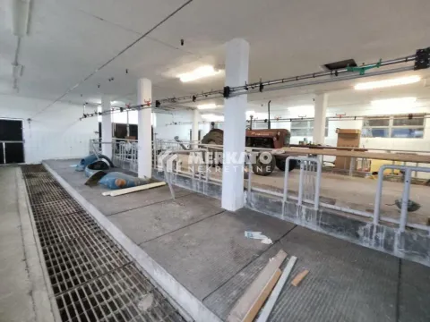 Prodaja, plac, 26200m², Žitište, Zrenjanin - image 3