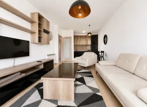 Prodaja, jednosoban stan, 47m², City Kvart, Podgorica - image 3