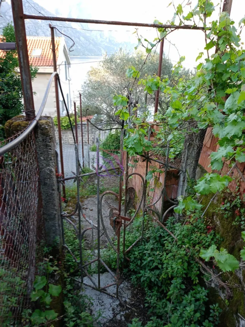 Prodaja, plac, 4614m², Stoliv, Kotor