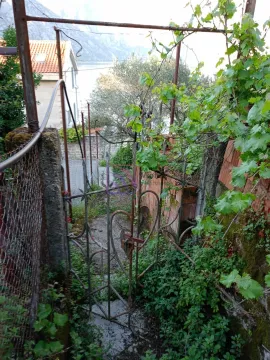 Prodaja, plac, 4614m², Stoliv, Kotor - image 5