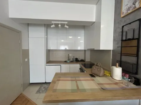 Izdavanje, jednosoban stan, 45m², Ljubović, Podgorica - image 4