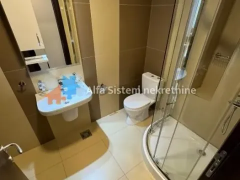 Izdavanje, dvosoban stan, 55m², Savski Venac, Beograd - image 10