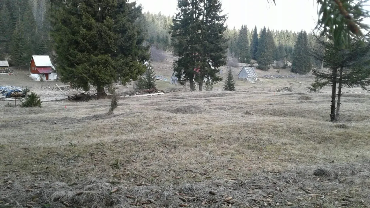 Prodaja, plac, 513m², Palež, Žabljak