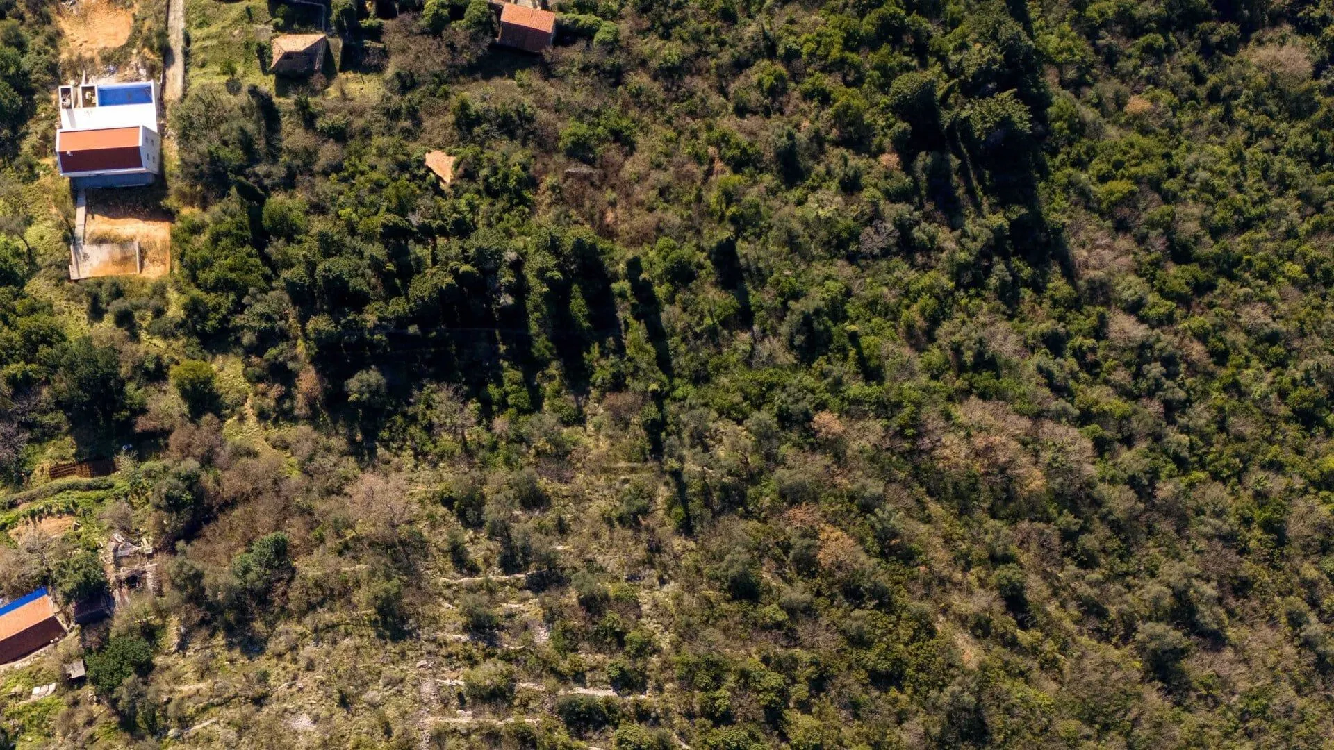 Prodaja, plac, 1954m², Donja Lastva, Tivat