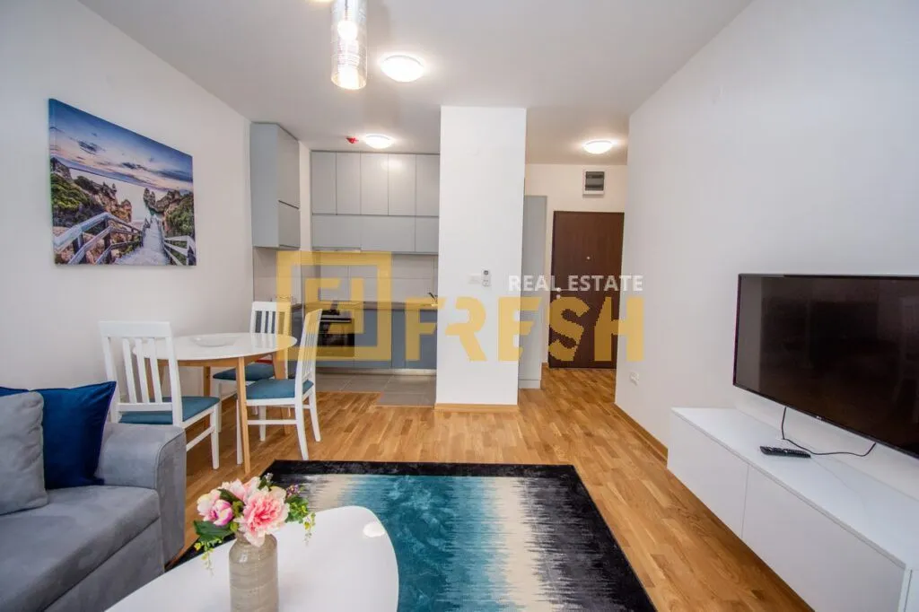 Rent, one bedroom apartment, 46m², Zagorič, Podgorica