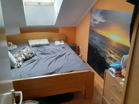 Sale, two bedroom apartment, 55m², Nova Detelinara, Novi Sad Sve Podlokacije - image 3