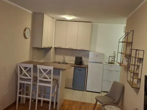 Rent, one bedroom apartment, 33m², Zabjelo, Podgorica - image 5