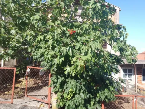 Sale, house, 140m², Bar, Crna Gora - image 3