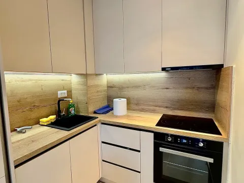 Izdavanje, jednosoban stan, 45m², Stari Aerodrom, Podgorica - image 7