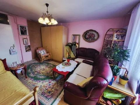 Dnevna soba sa garniturom i nameštajem. - image 3