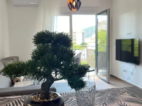 Rent, one bedroom apartment, 44m², Babilonija, Budva - image 3