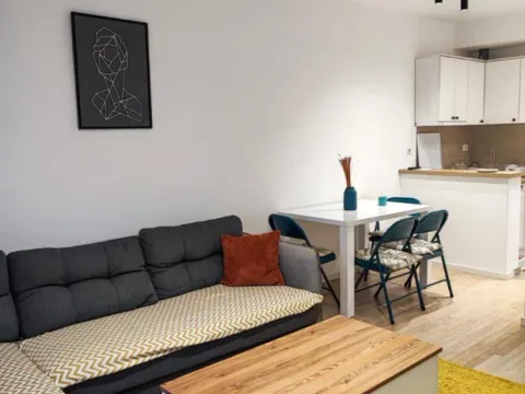 Izdavanje, jednosoban stan, 45m², Blok 6, Podgorica - image 3