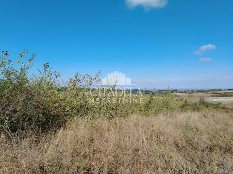 Pogled na neuređeni plac sa rastinjem i otvorenim horizontom. - image 7